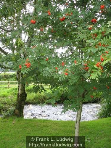 Around Glencar